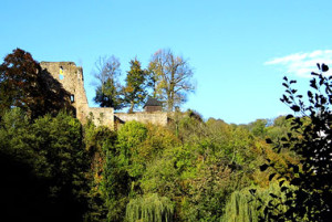 Wanderung zur Burgruine Tharandt Vorschaubild