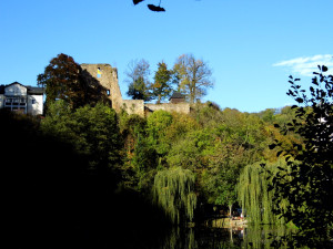 Burgruine Tharandt2
