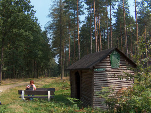 Dippoldiswalder Heide1