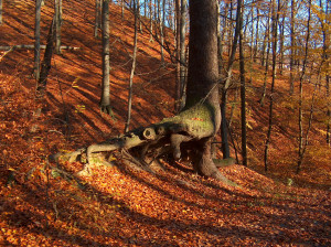 WandernBack 30