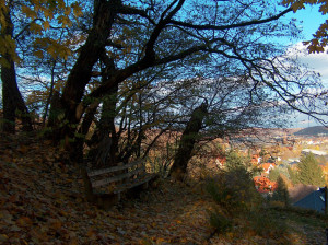 WandernBack 7