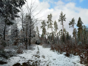IMG 20210318 103640